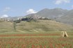 Norcia, panorama Castelluccio - gentile concessione dell'Archivio dello STA Valnerina 