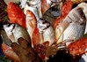 Pesce di Porto Cesareo - ph Nunzio Pacella
