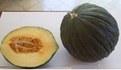 Melone Porceddu